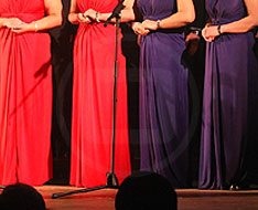 Chinese New Year Gala, Oxford Town Hall 2012